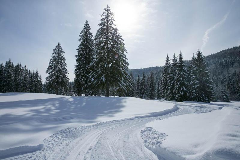 Tale Apartman 9, Lucnica, Chopok Juh Exteriér fotografie